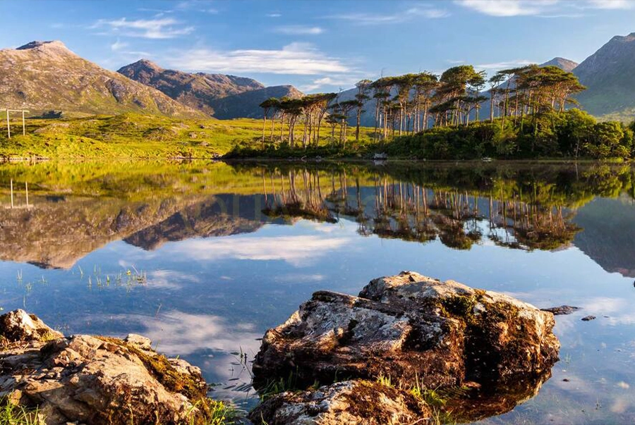 Connemara Marble Ireland