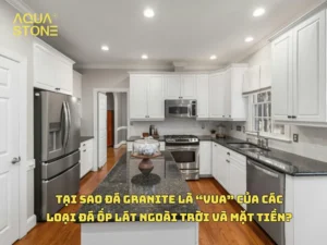 TẠI SAO ĐÁ GRANITE LÀ “VUA” CỦA CÁC LOẠI ĐÁ ỐP LÁT NGOÀI TRỜI VÀ MẶT TIỀN