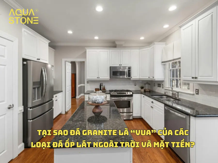 TẠI SAO ĐÁ GRANITE LÀ “VUA” CỦA CÁC LOẠI ĐÁ ỐP LÁT NGOÀI TRỜI VÀ MẶT TIỀN