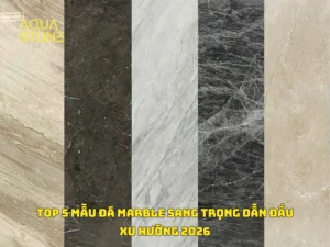 TOP 5 MẪU ĐÁ MARBLE SANG TRỌNG DẪN ĐẦU XU HƯỚNG 2026